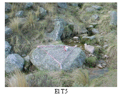 Cuadro de texto:  
El T5
