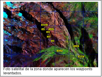 Cuadro de texto:  
Foto satelital de la zona donde aparecen los waypoints levantados.

